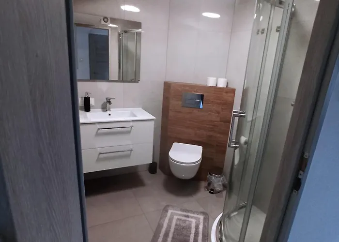 홈스테이 Sara Wisełka